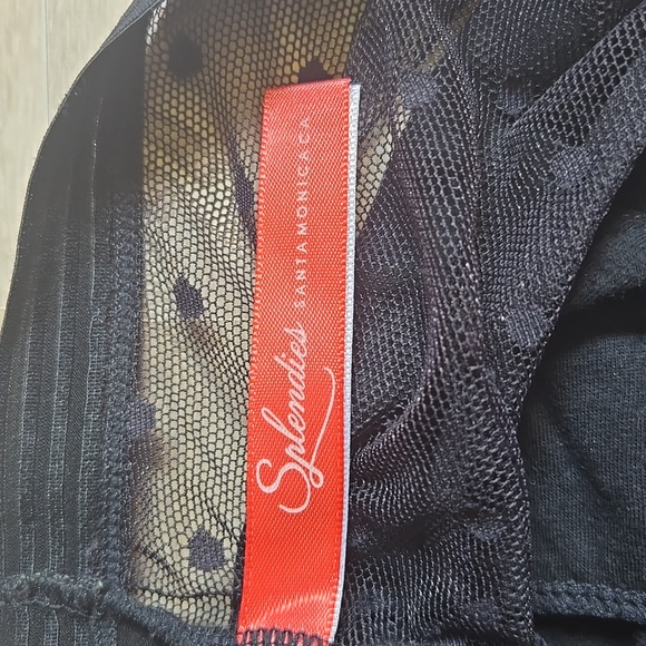 Splendies Womens' Cotton Bikini Polka Dot Underwear Black Sheer Panties Medium - Picture 9 of 10